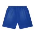 Hellstar Flame Shorts Blue 1