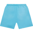 Hellstar Studios Shorts Blue (1)